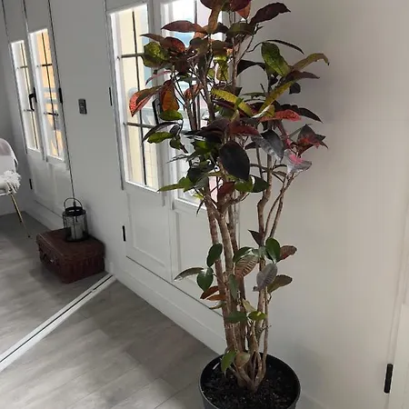 Piso En El Emblematico Barrio Antiguo De